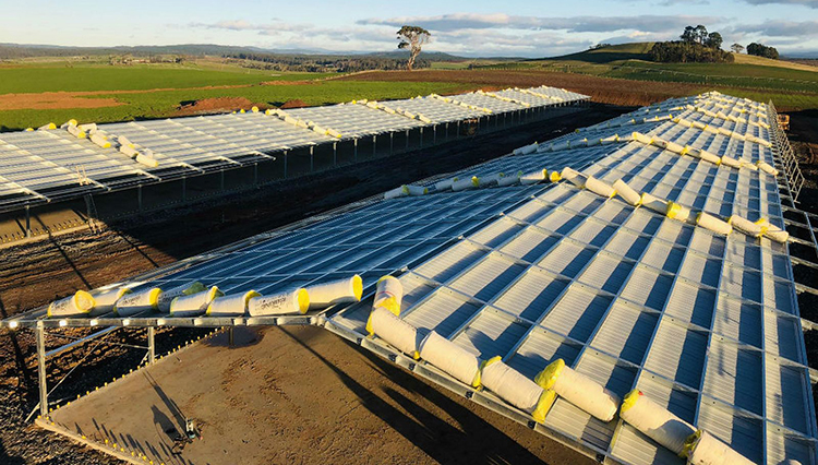 glass wool in australia